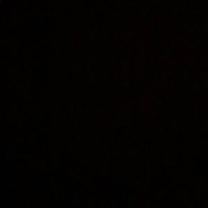 Meet your Posher, Bailey